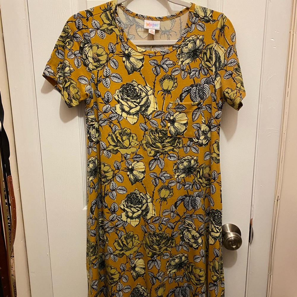 Lularoe Carly dress